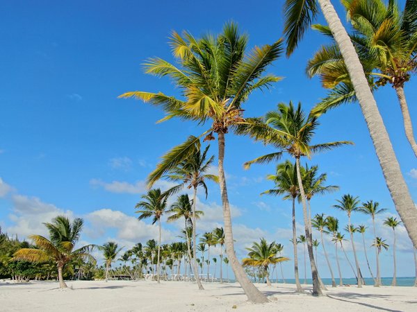 Voyager en van : guide pratique pour des road trips inoubliables